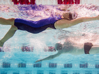 The meaning of 'freestyle' in competitive swimming - Bluffton Sun