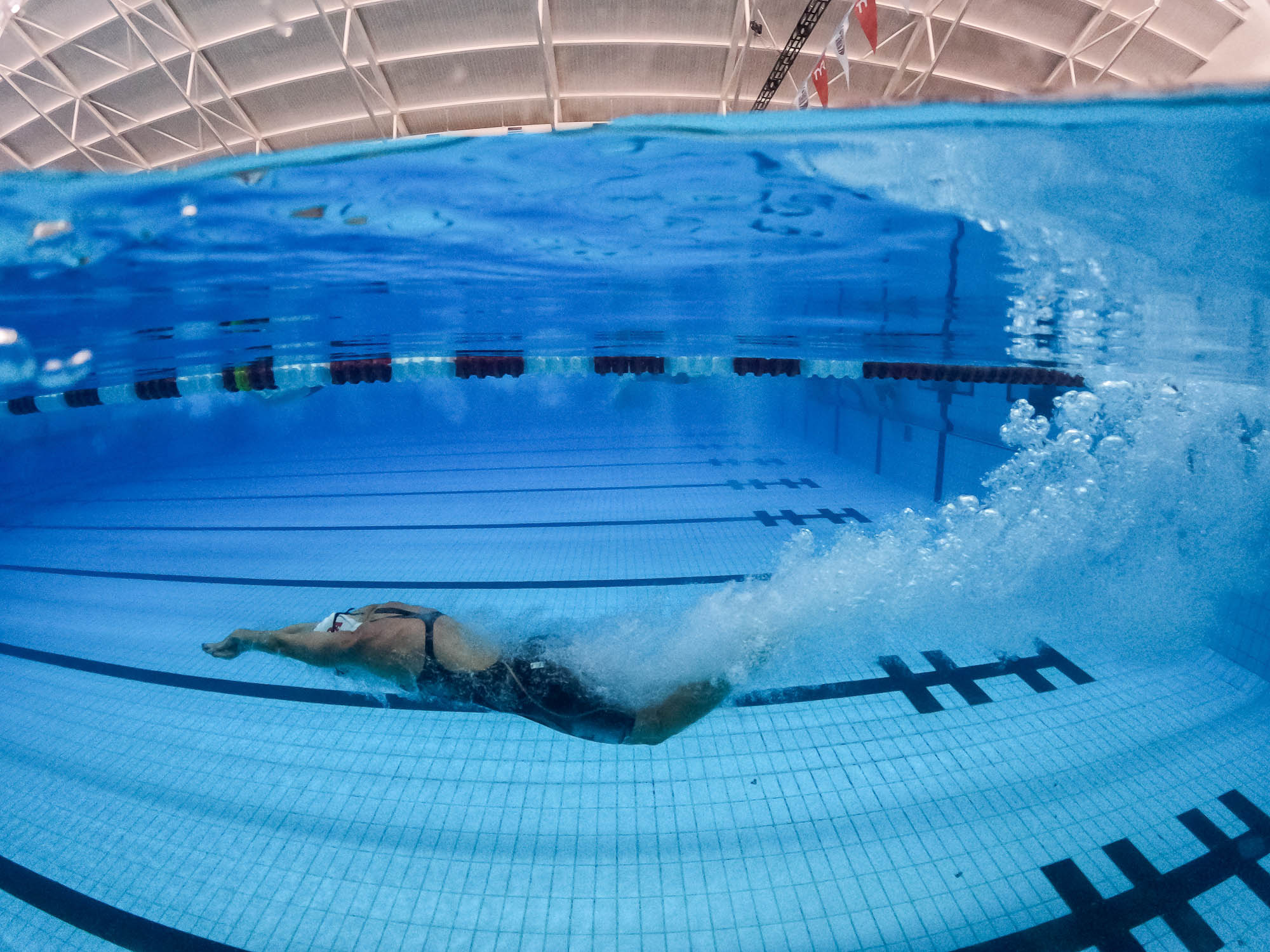 2026 National Championship | College Club Swimming