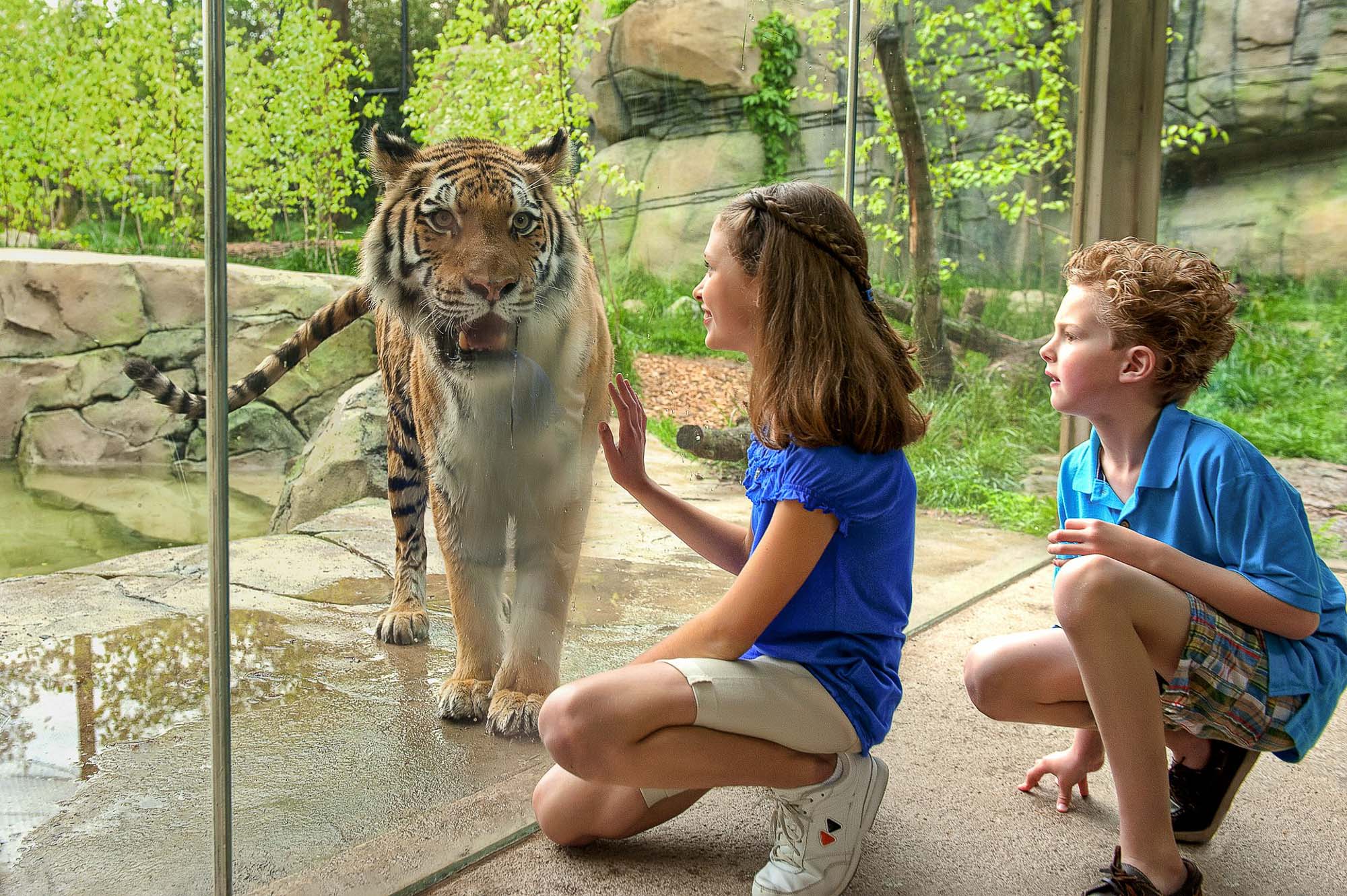 2024 USMS Spring Nationals Preview U.S. Masters Swimming